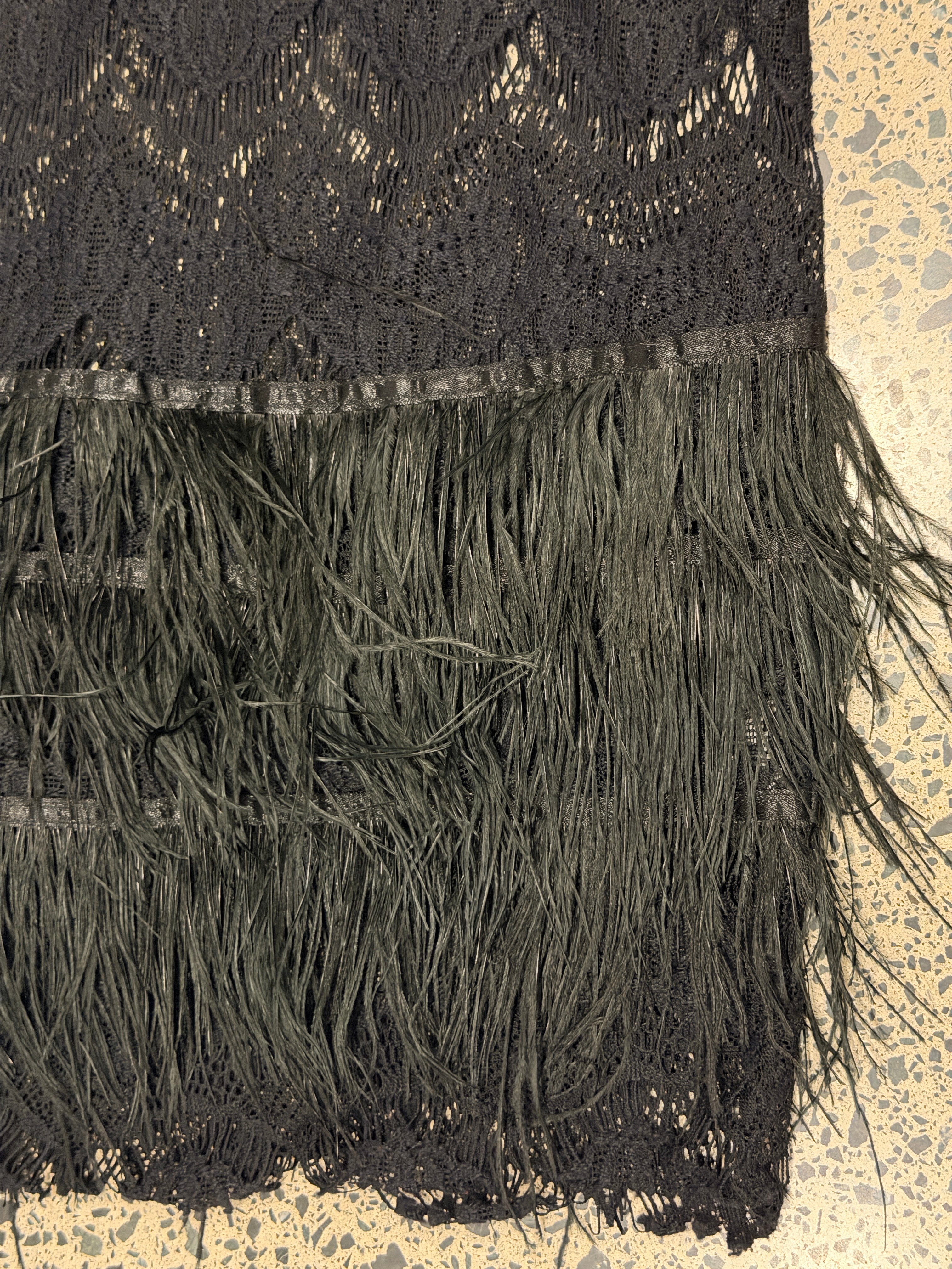 Sheer Lace Dress with Feather Trim