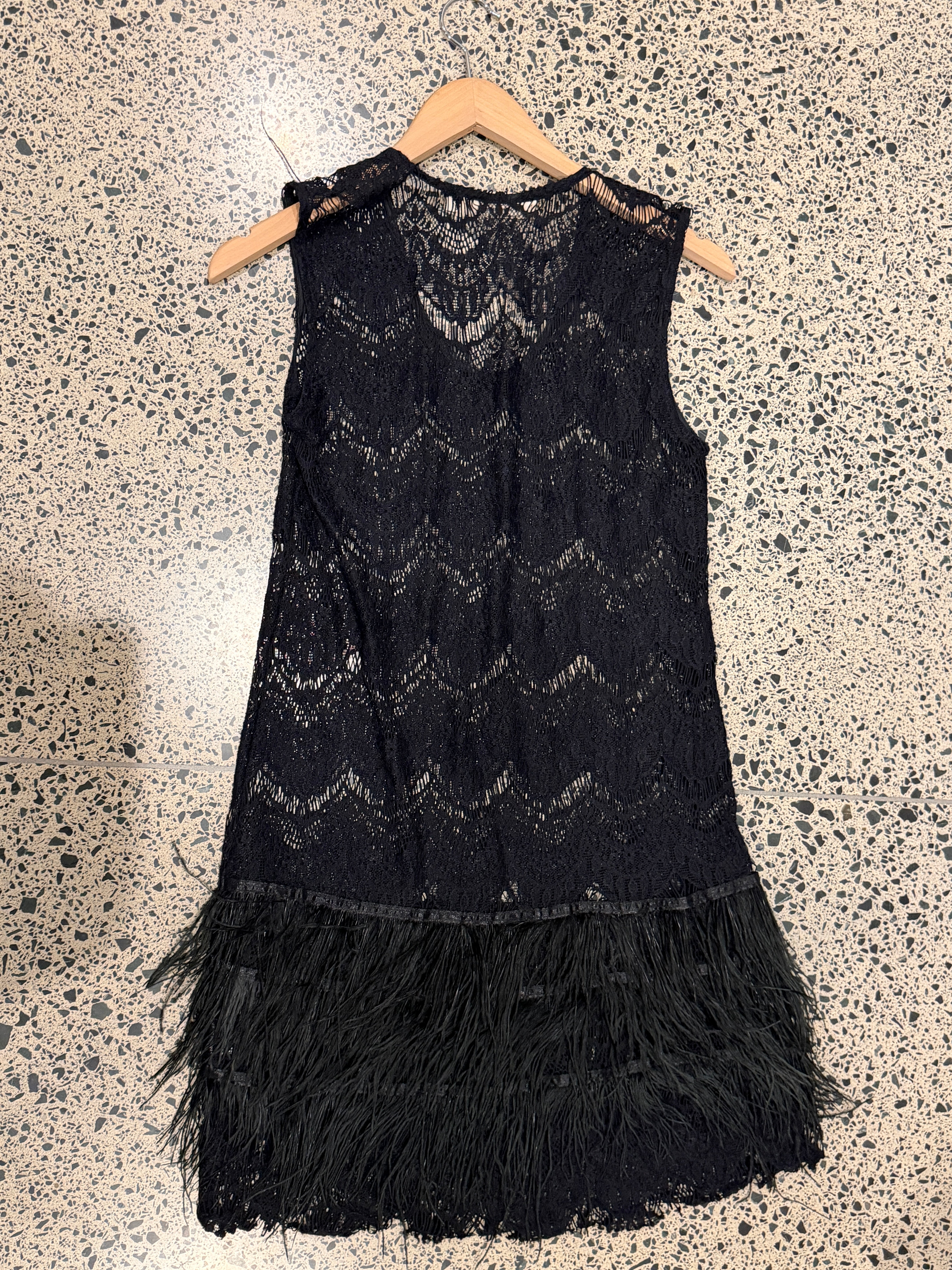 Sheer Lace Dress with Feather Trim