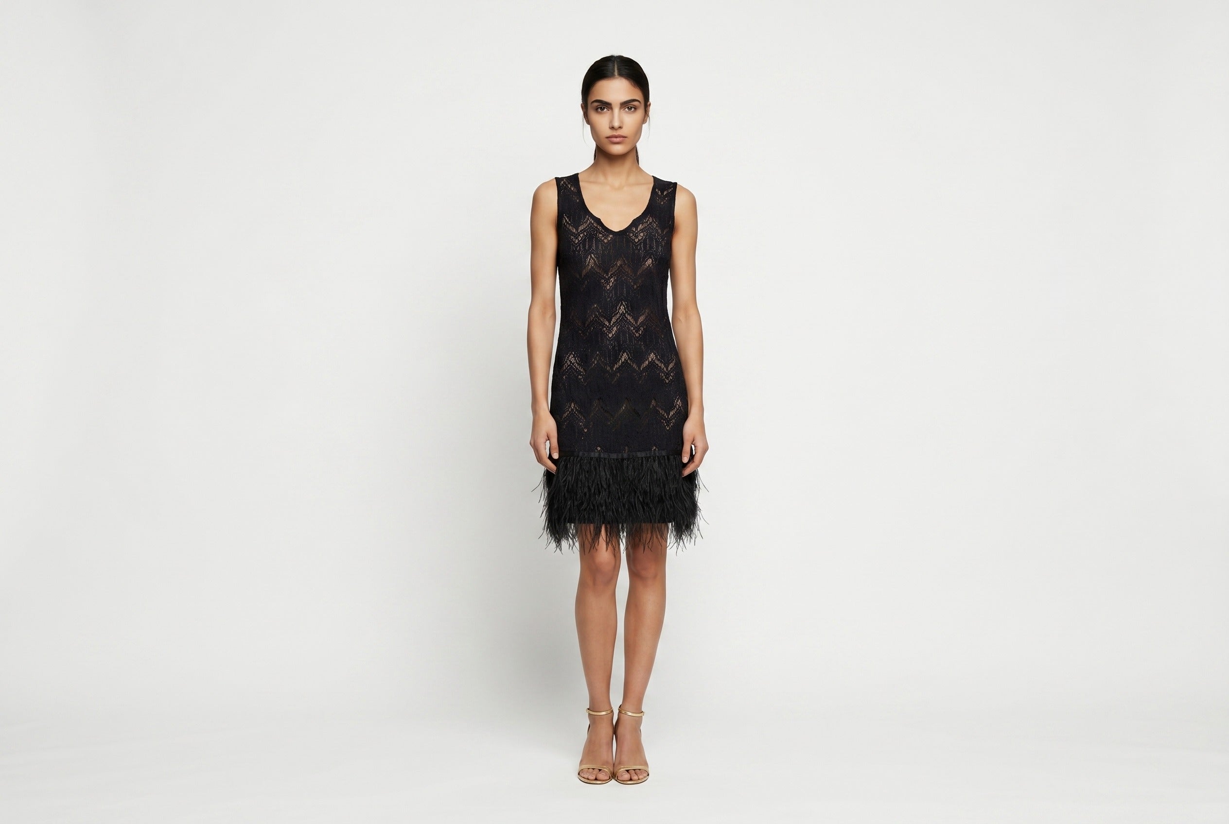 Sheer Lace Dress with Feather Trim